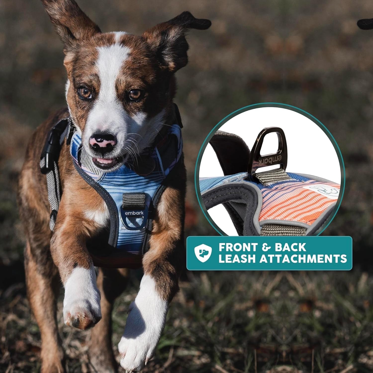 Embark Urban Dog Harness, No-Pull Reflective Trim Dog Harness for Small, Medium & Large Dogs - Heavy Duty Oxford, 2 Leash Clips & Gel Lined Handle. Soft & Padded Puppy Dog Vest for Any Breed