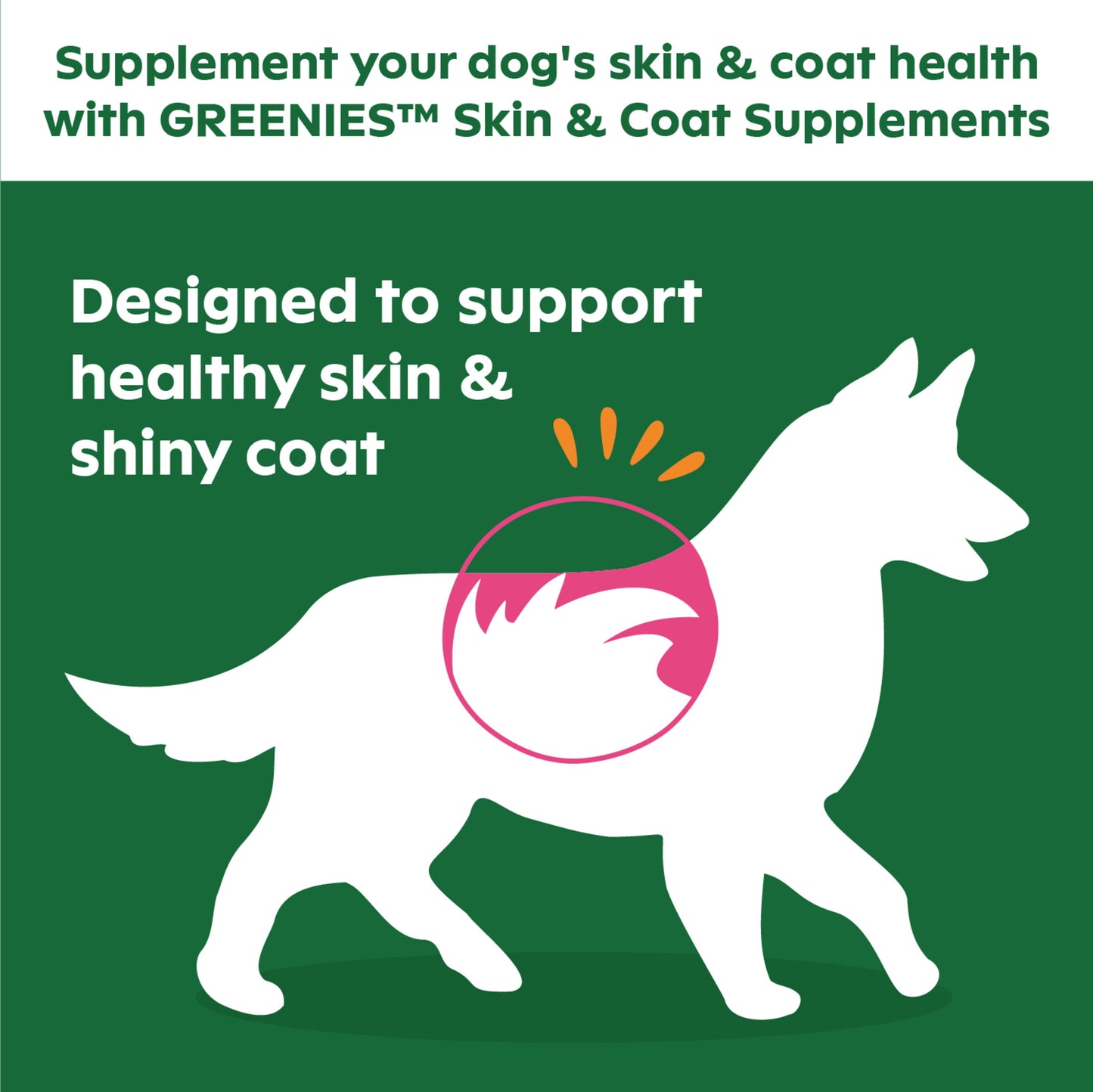 Skin & Coat Supplements, 40 Ct