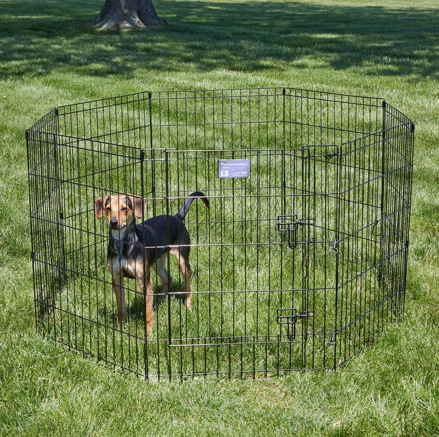 Metal Black Exercise Pet Dog Playpen with Door , 30"H