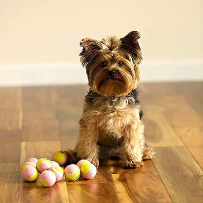 X-Small Dog Tennis Balls 1.5" Pack of 12- Puppy Mini Fetch Pet Little Tennis Balls -Yellow/Pink