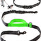 Exquisite Hands-Free Dog Leash for Medium Dogs: Perfect for Active Pet Owners Comfortable, Durable & Ideal for Running, Walking, Hiking. Premium Dog Waist Leash with Bungee. Must-Have Dog Gear