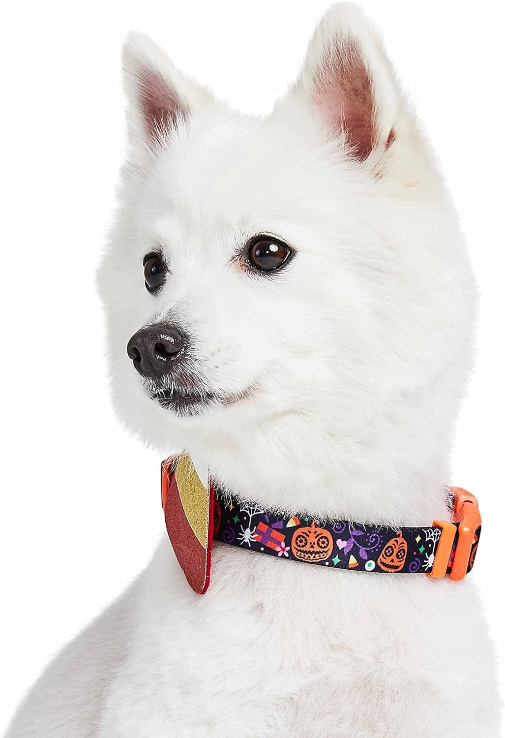 Halloween Candy Corn Adjustable Dog Collar with Detachable Glitter Accessory, Medium, Neck 14.5"-20"