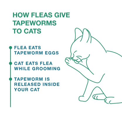 (4 Pack)  Tapeworm Removal Dewormer for Cats, 3 Tablets Praziquantel