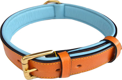 Padded Leather Dog Collar, Tan and Teal, Size Medium, 20" Long X 1" Wide, Neck Size 14.5" to 17.5" Inches