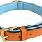 Padded Leather Dog Collar, Tan and Teal, Size Medium, 20" Long X 1" Wide, Neck Size 14.5" to 17.5" Inches