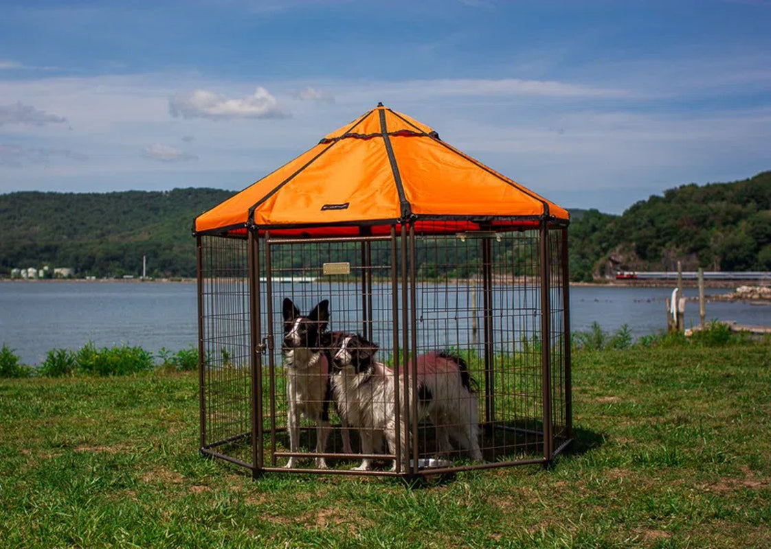 Dog Kennel Play Pen with Market Top Canopy