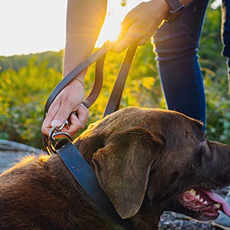 Leather Dog Leash - Genuine Distressed Material - Premium Leash - Suitable for All Pet Sizes - Dog Leash Collar Leather - Heavy Duty Dog Leash - Modern Dog Leash - Dark Leather Leash