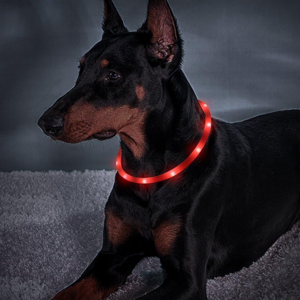 Led Dog Collar, USB Rechargeable LED Dog Necklace Light, Silicone Light up Dog Collars Glow in the Dark (Red-Silicone)