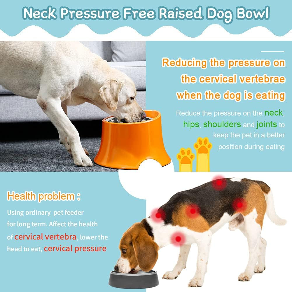 Elevated Dog Bowl Raised Dog Feeder for Food and Water, Non Spill Edges & Non Skid Sturdy Melamine Stand, Reduce Neck Stress, Less Regurgitating and Vomiting 1 Cup Orange