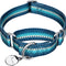 Martingale Collar Nylon Dog Collar No Pull Pet Collar Heavy Duty for Medium and Large Dogs, Adjustable 17 Inch to 25 Inch, Turquoise Green