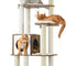 Woodywonders Cat Tree, 65-Inch Modern Cat Tower for Indoor Cats, Multi-Level Cat Condo with 5 Scratching Posts, Perch, Washable Removable Cushions, Cat Furniture, Rustic Brown UPCT166X01