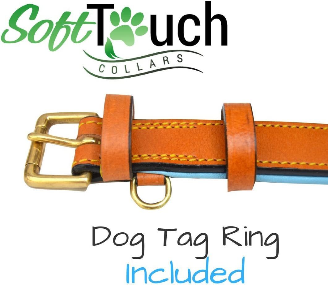 Padded Leather Dog Collar, Tan and Teal, Size Medium, 20" Long X 1" Wide, Neck Size 14.5" to 17.5" Inches