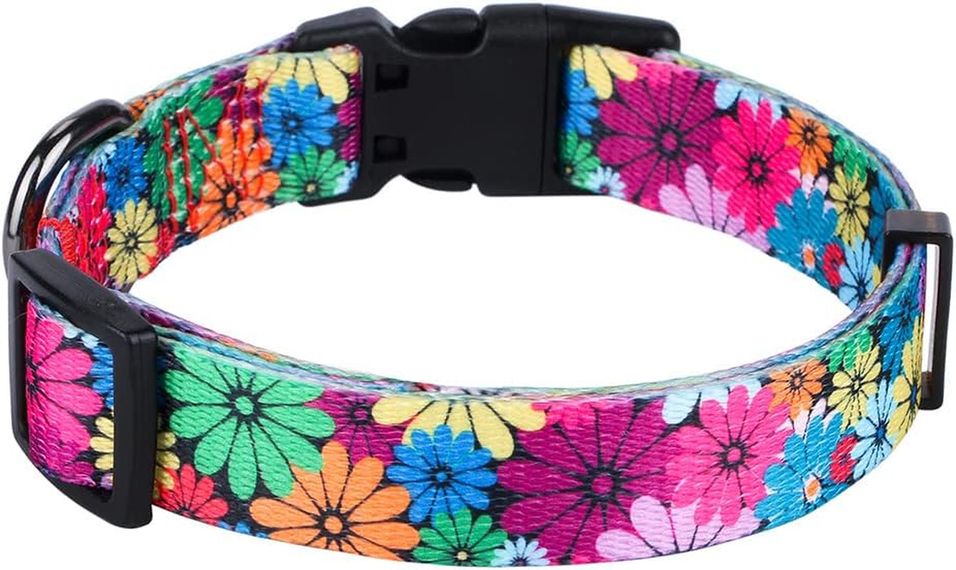 Dog Collar for Small-Medium-Large Dogs Floral Pattern for Girl Boy Dogs Medium (M(Neck 13.1''-19'', Width 3/4''))