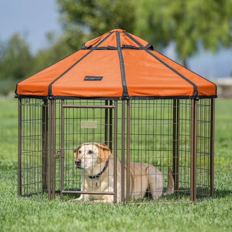 Dog Kennel Play Pen with Market Top Canopy