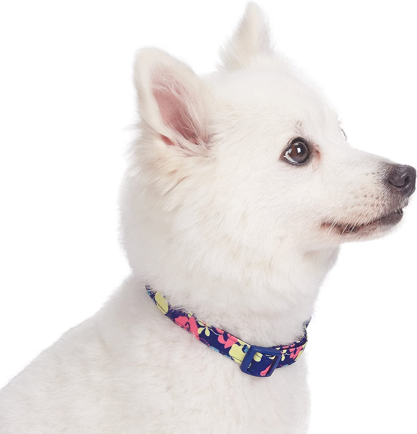 Made Well Profound Floral Print Adjustable Dog Collar in Navy Blue, X-Small, Neck 7.5"-10"