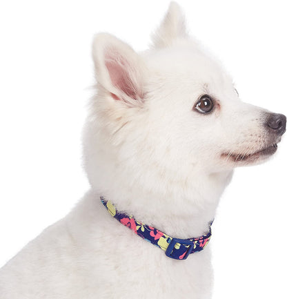 Made Well Profound Floral Print Adjustable Dog Collar in Navy Blue, X-Small, Neck 7.5"-10"