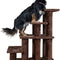 Steady Paws Multi-Step Pet Stairs for High Beds & Sofas - Brown, 4-Step