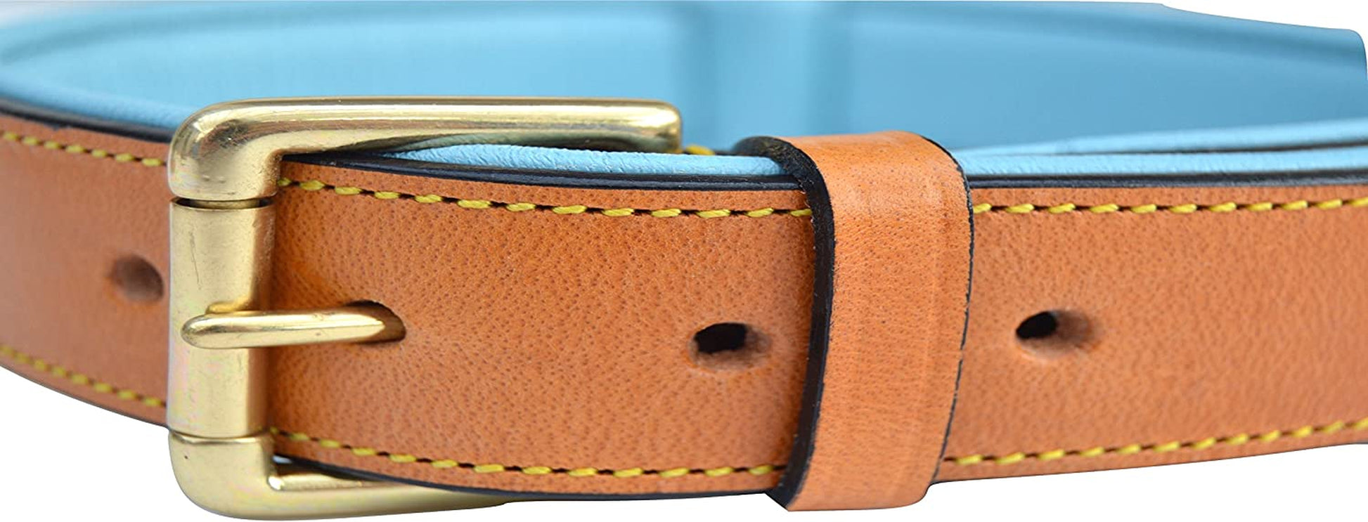 Padded Leather Dog Collar, Tan and Teal, Size Medium, 20" Long X 1" Wide, Neck Size 14.5" to 17.5" Inches