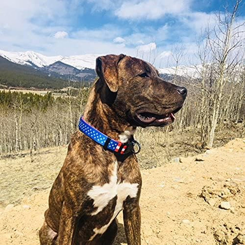 American Flag Dog Collar- Red White and Blue- Patriotic Collars for 4Th of July, USA- Adjustable Small, Medium, Large Breed Dogs (Medium, Flag I)