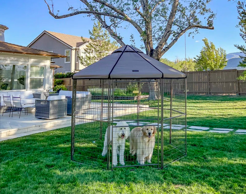 Dog Kennel Play Pen with Market Top Canopy