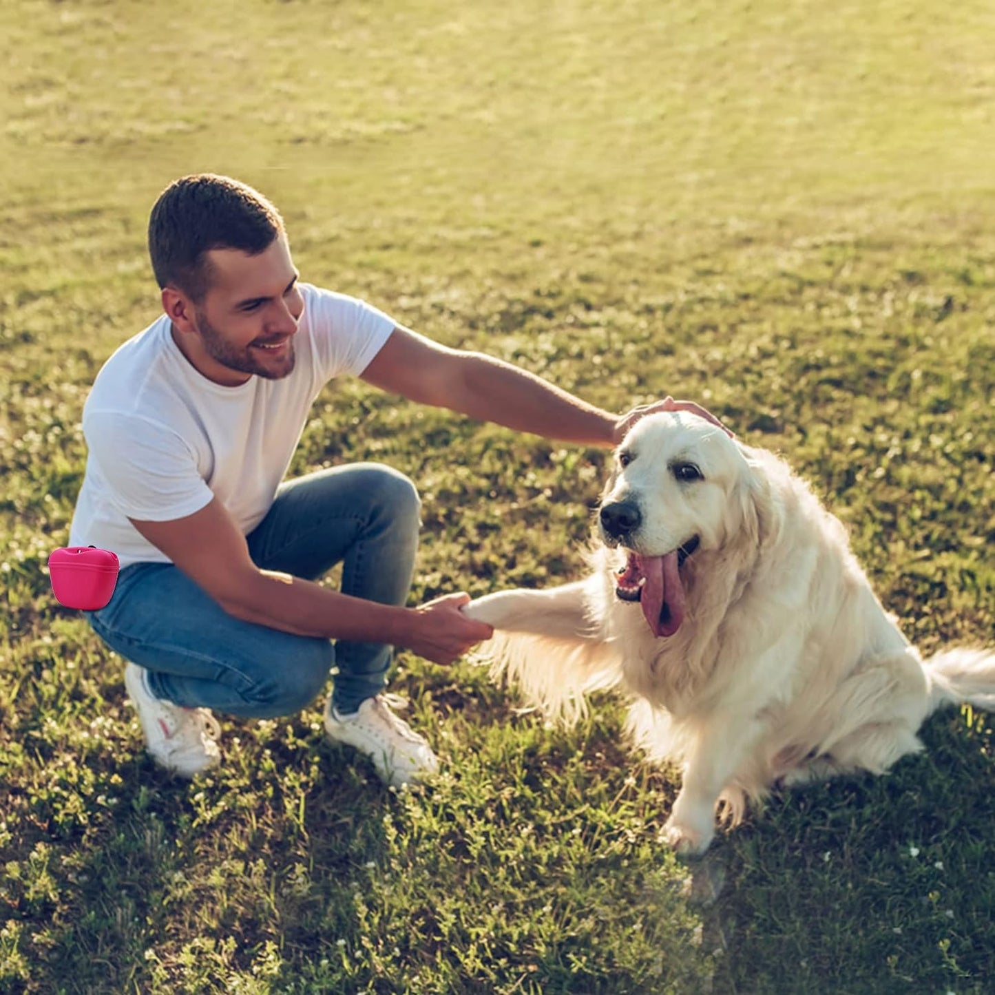 Silicone Dog Treat Pouch,Clip on Portable Training Container,Convenient Magnetic Buckle Closing and Waist Clip,No BPA