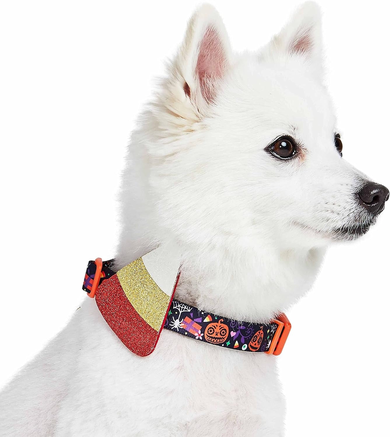 Halloween Candy Corn Adjustable Dog Collar with Detachable Glitter Accessory, Medium, Neck 14.5"-20"