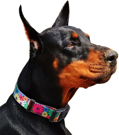 Dog Collar for Small-Medium-Large Dogs Floral Pattern for Girl Boy Dogs Medium (M(Neck 13.1''-19'', Width 3/4''))