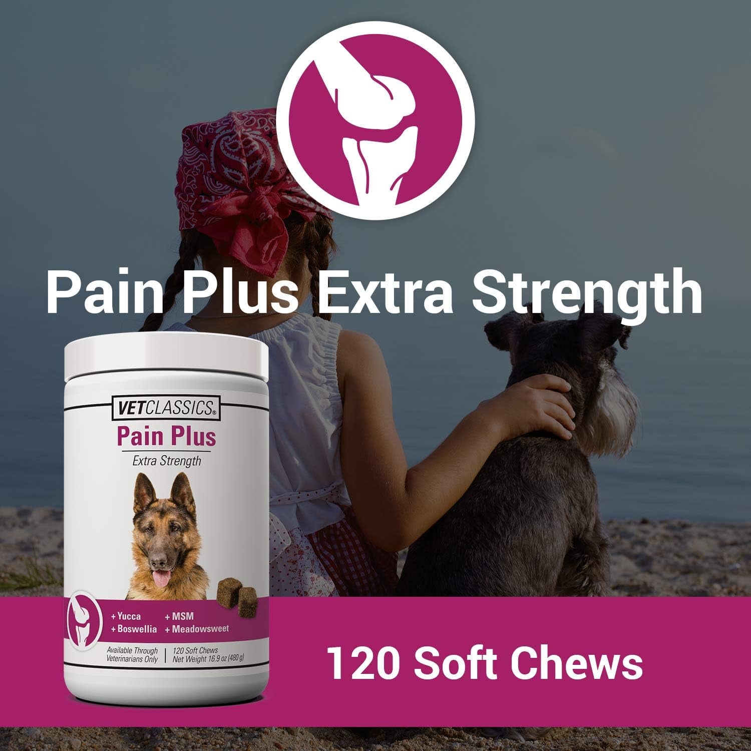 Pain plus Extra Strength Health Supplement for Dogs - 120 Soft Chews