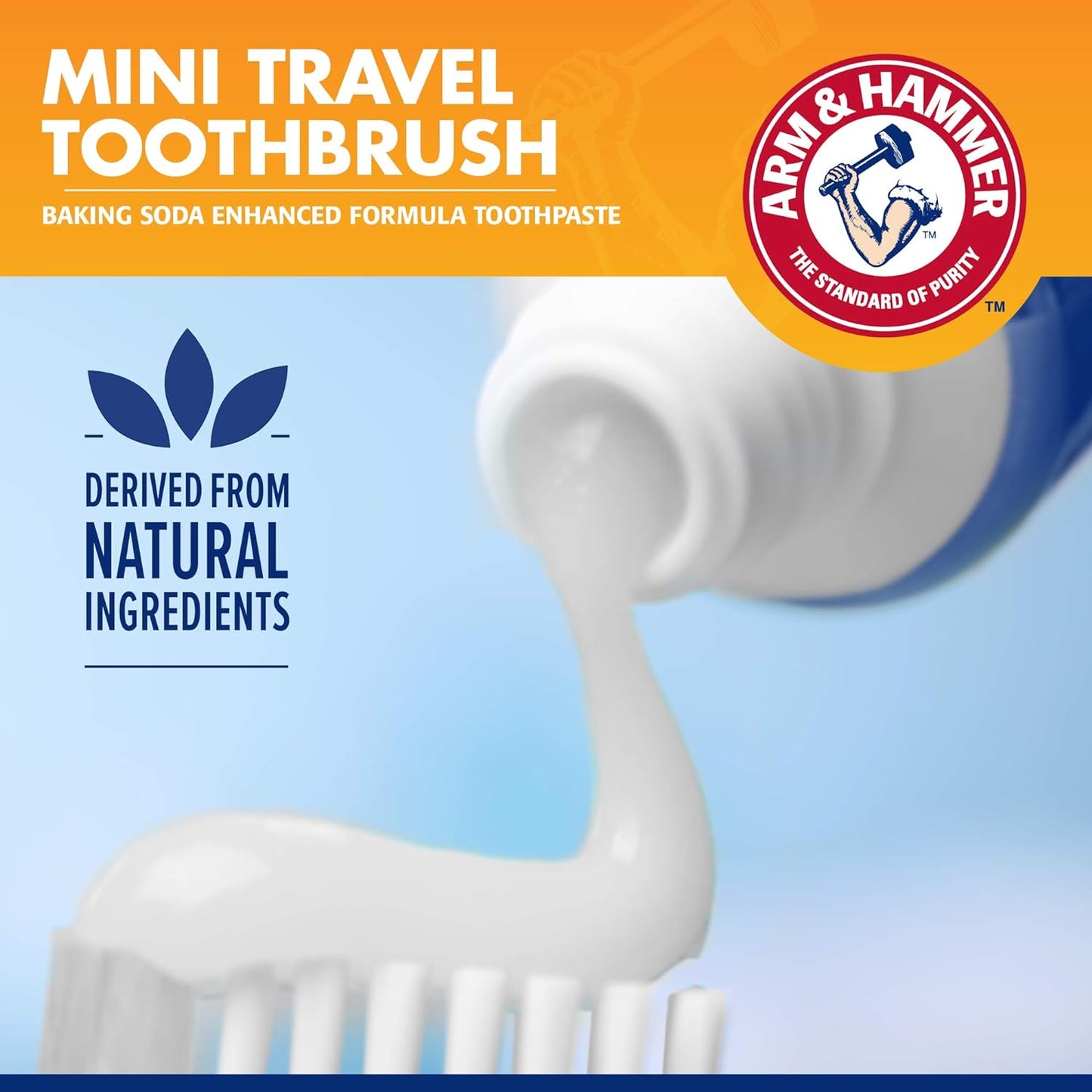 for Pets Clinical Care Travel Dental Kit for Dogs in Vanilla Ginger Flavor | Dog Toothbrush and Toothpaste Set Safe for All Dogs | All in One Solution to Dog Teeth Cleaning