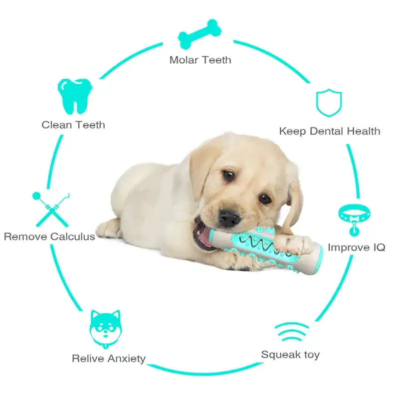 Dog Oral Care & Relaxation Kit