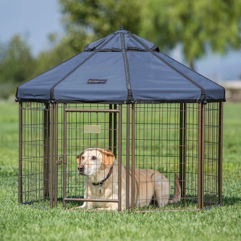 Dog Kennel Play Pen with Market Top Canopy