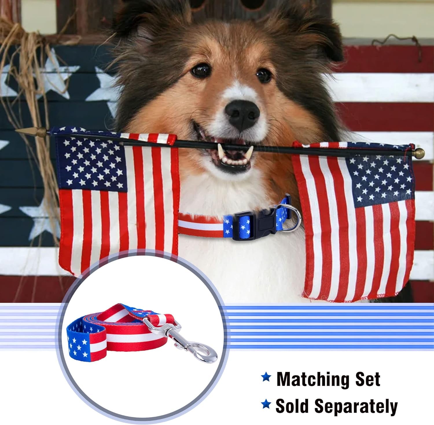 American Flag Dog Collar- Red White and Blue- Patriotic Collars for 4Th of July, USA- Adjustable Small, Medium, Large Breed Dogs (Medium, Flag I)