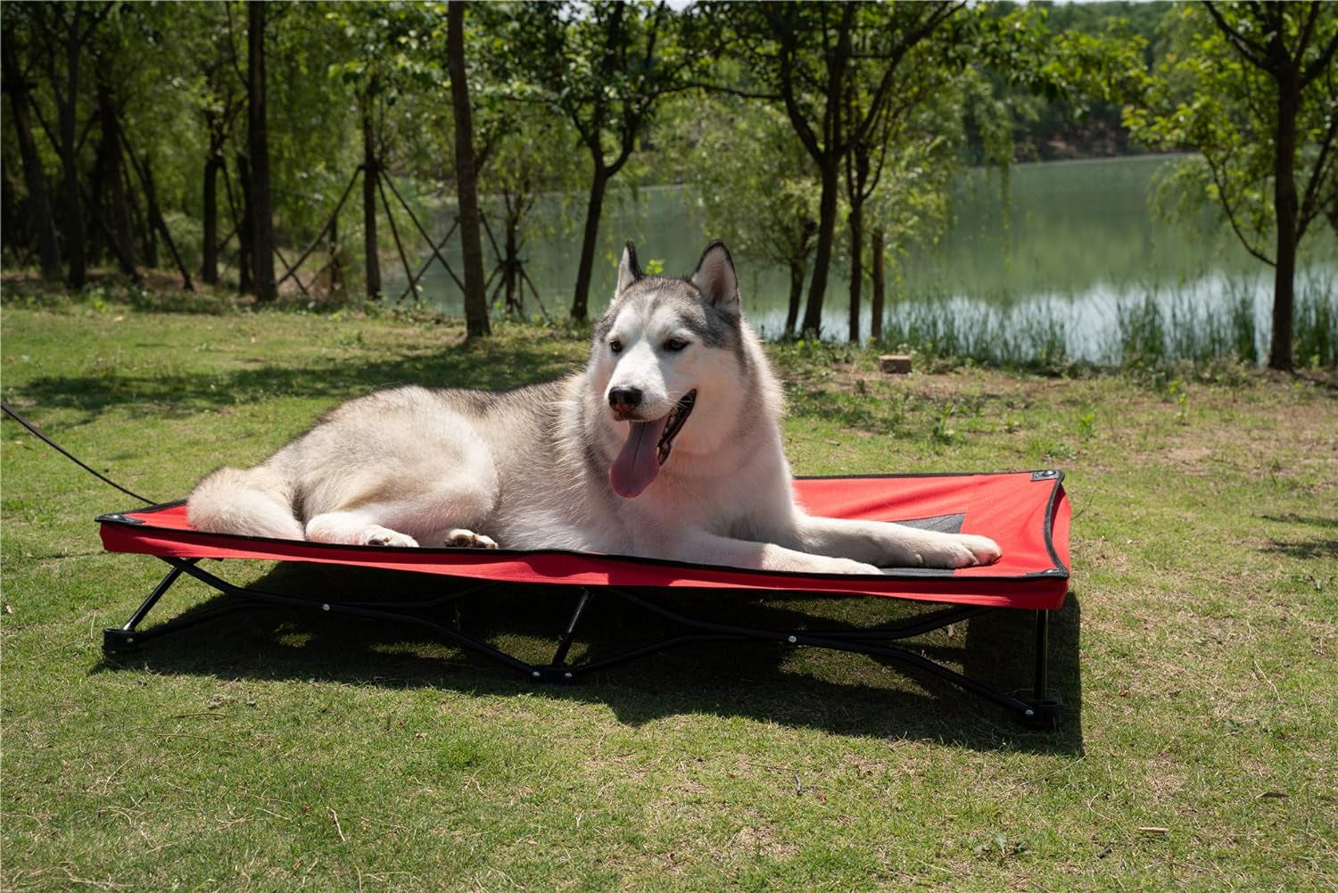 47 Inches Long Elevated Folding Pet Bed Cot Travel Portable Breathable Cooling Textilene Mesh Sleeping Dog Bed (47 Inch (Pack of 1), Red)