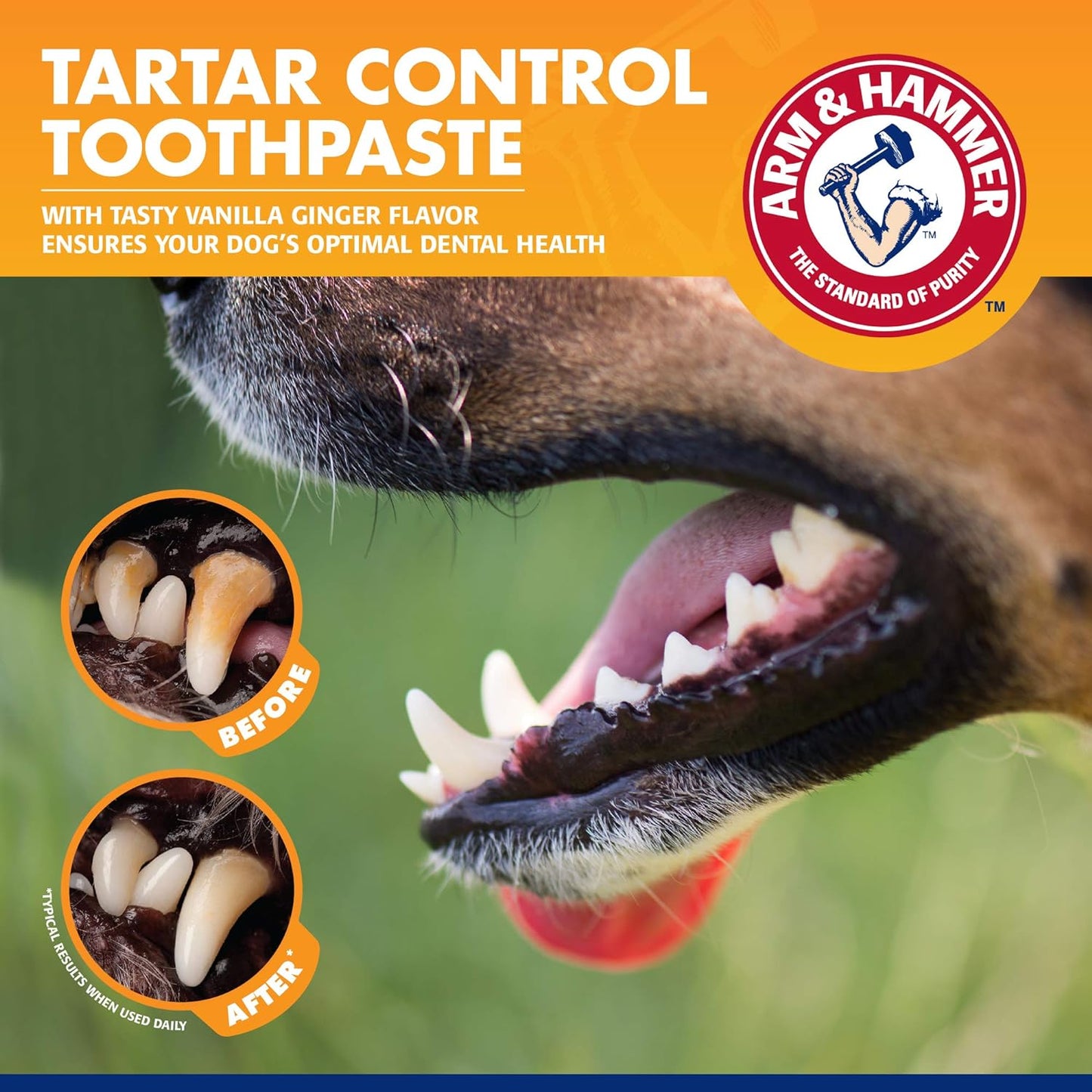 for Pets Clinical Care Travel Dental Kit for Dogs in Vanilla Ginger Flavor | Dog Toothbrush and Toothpaste Set Safe for All Dogs | All in One Solution to Dog Teeth Cleaning